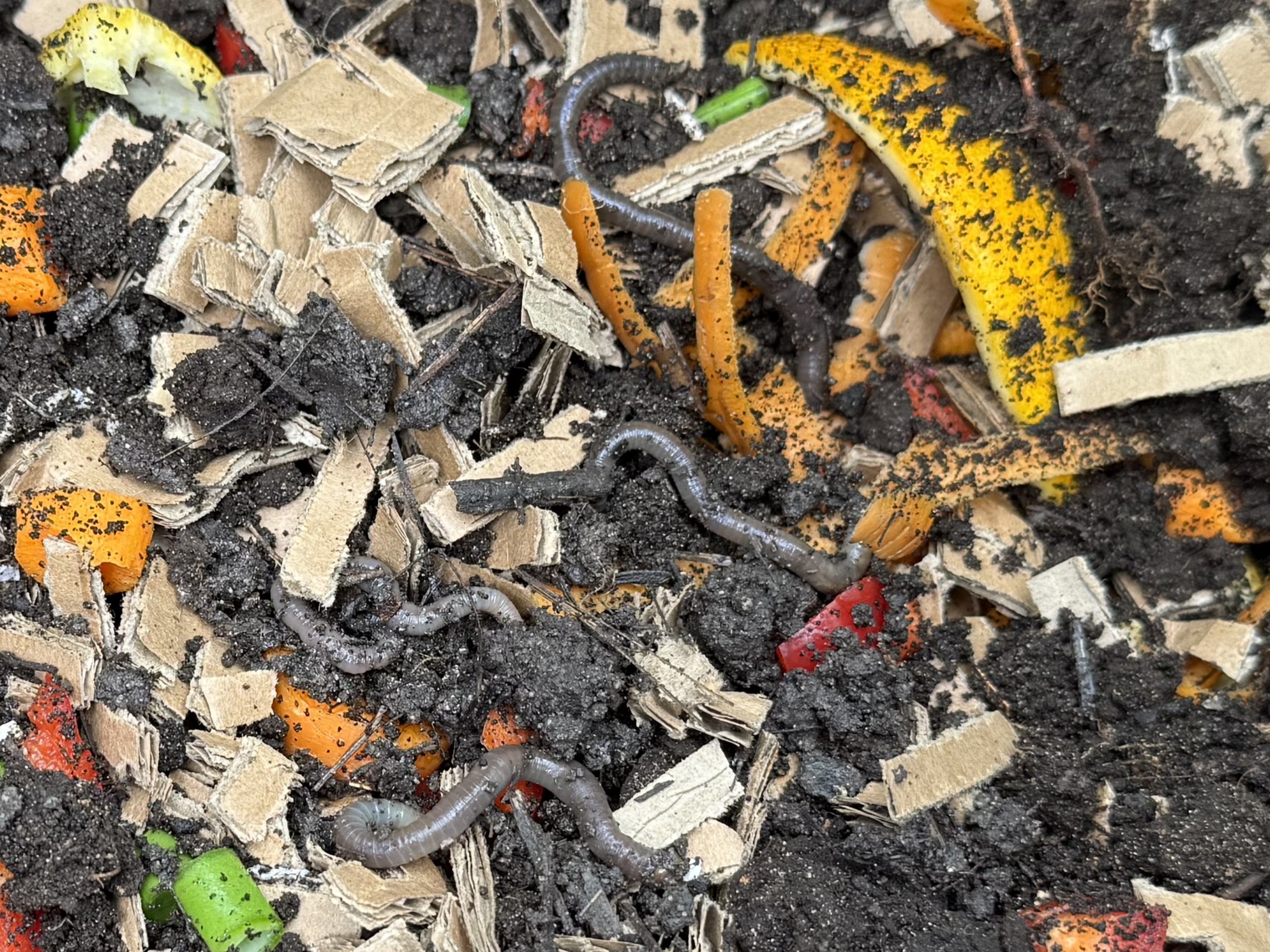 INFOSTOP HYBRID IS6X Paper & Cardboard Shredder - Image 14